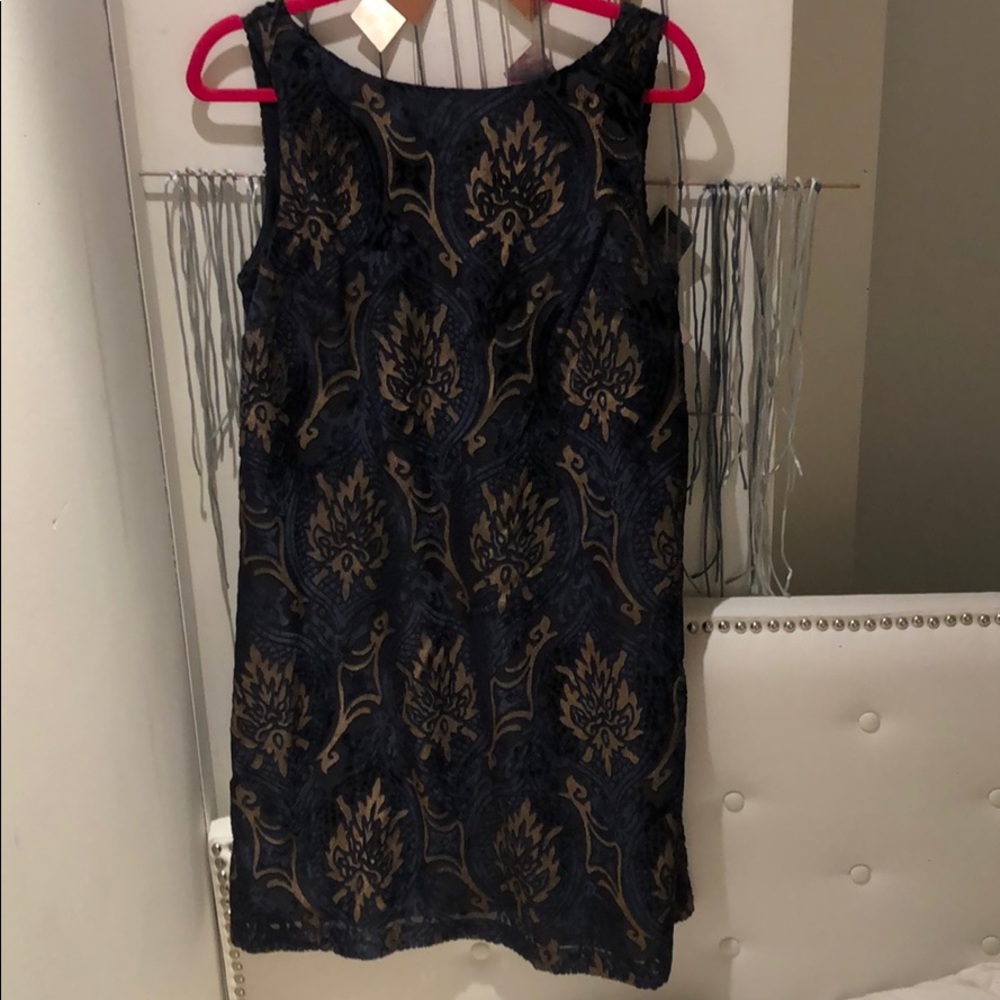 Velvet Dress Loft